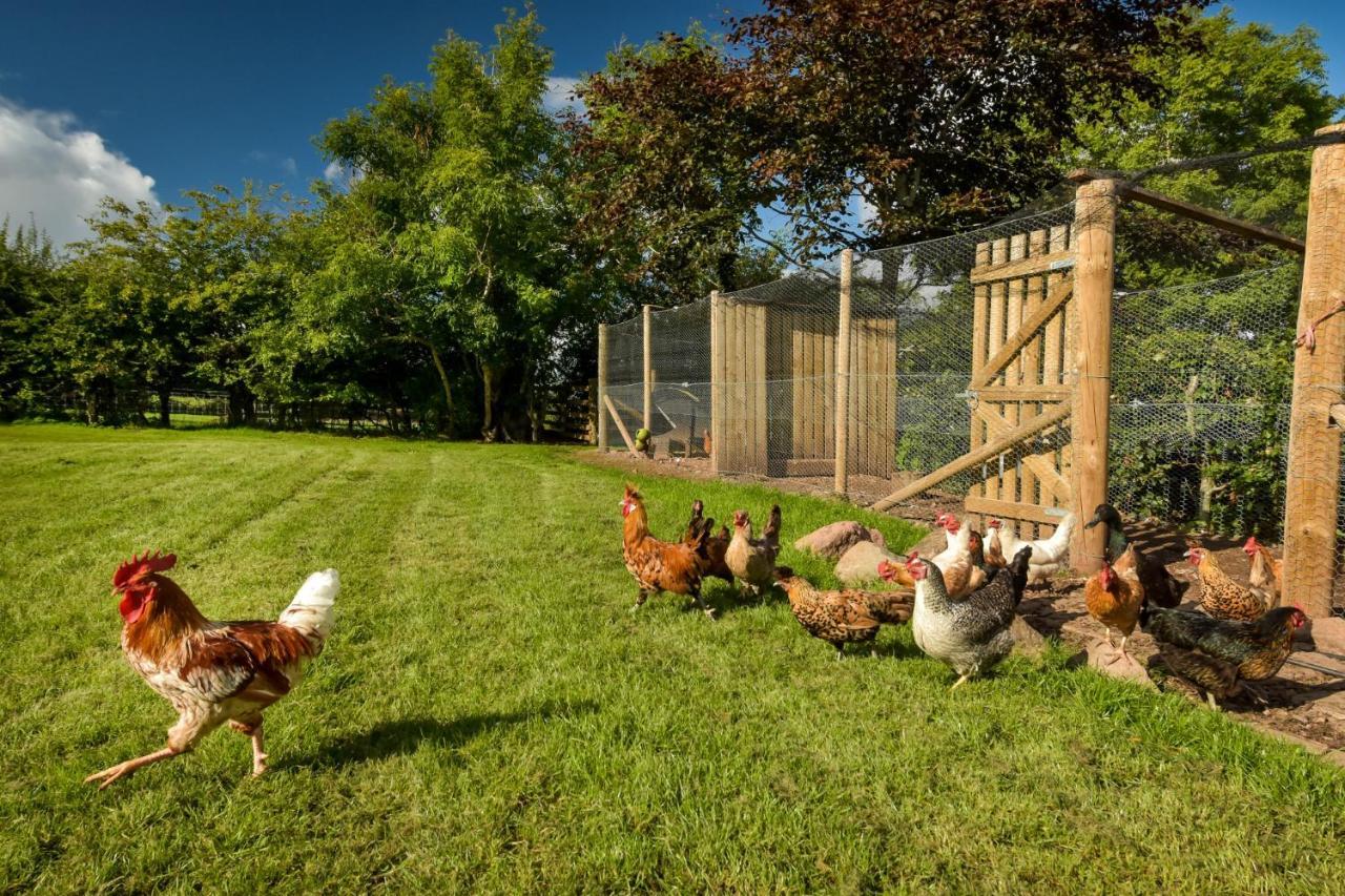 The Steading At Pitmeadow Farm Villa Dunning ภายนอก รูปภาพ